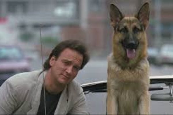 K9-Um-Policial-bom-pra-Cachorro