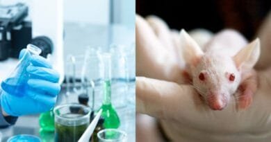 <strong>Senado aprova proibição de testes em animais na produção de cosméticos: um grande avanço para a proteção animal</strong> proibicao-de-testes-em-animais