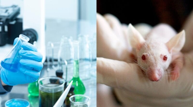 proibicao-de-testes-em-animais