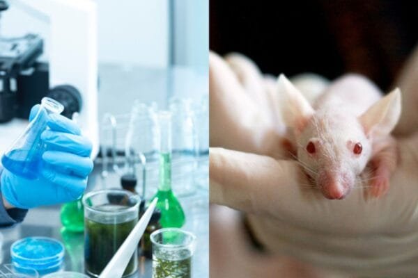 <strong>Senado aprova proibição de testes em animais na produção de cosméticos: um grande avanço para a proteção animal</strong> proibicao-de-testes-em-animais