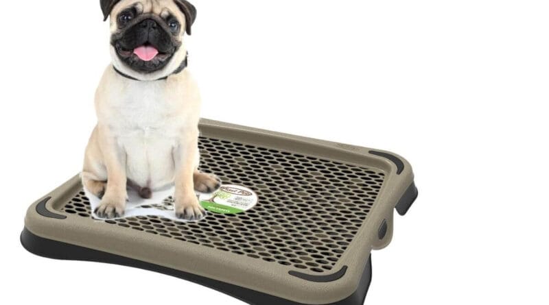 Banheiro-inteligente-para-cachorro