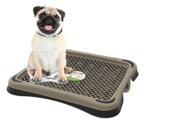 Banheiro-inteligente-para-cachorro