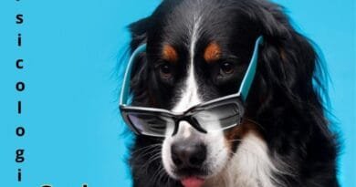 Psicologia canina: entendendo a mente e o comportamento do seu melhor amigo Psicologia-canina