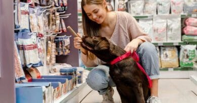 Top 5 melhores Pet Shop de Fortaleza: excelentes destinos para cuidar do seu animal de estimação melhores-pet-shop-fortaleza
