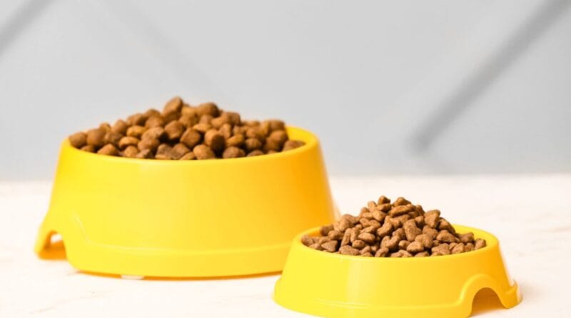 racao-para-gato-castrado