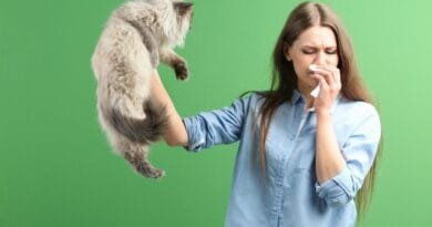 Alergia a Gatos: Causas, Sintomas e Dicas de Convivência alergia-a-gato-2