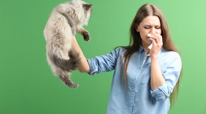 alergia-a-gato-2