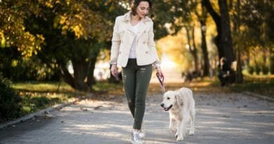 Passear com cachorro: descubra as vantagens de caminhar diariamente com seu pet passear com cachorro