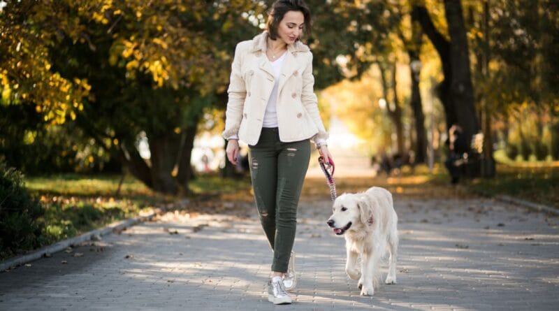 passear com cachorro