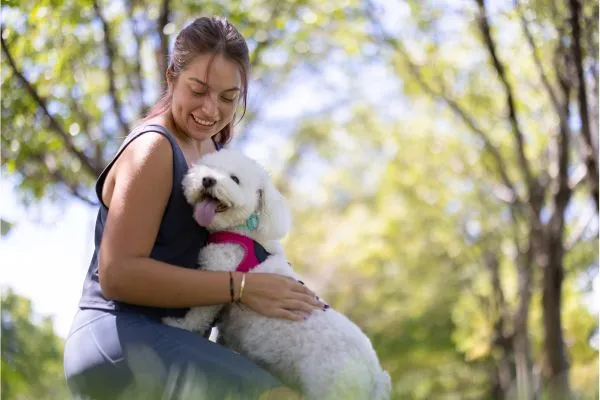 Cães Escolhem Seu Dono Favorito