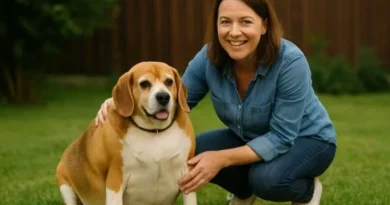 Obesidade em cães: o perigo silencioso que pode reduzir a vida do seu pet Obesidade em cães: o perigo silencioso