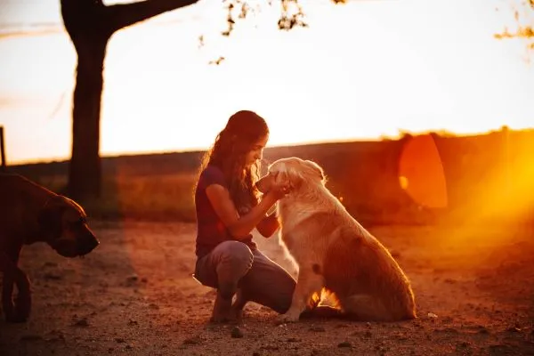 O que fazer após a morte de um pet?