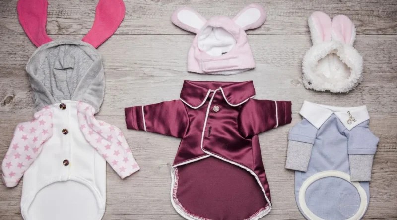 Roupas para pets: tendência ou necessidade?