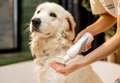 Shampoo antialérgico para cachorro: como escolher o melhor