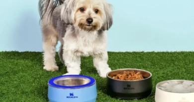 Tigela para pets da marca Stanley em aço inoxidável