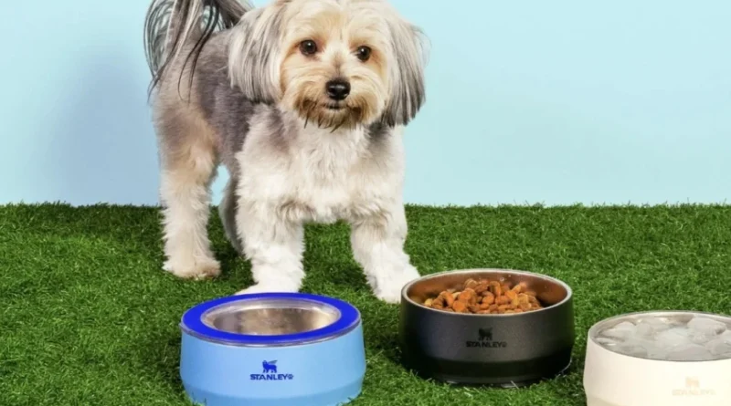 Stanley lança tigelas para pets com preços a partir de R$ 319 Tigela para pets da marca Stanley em aço inoxidável
