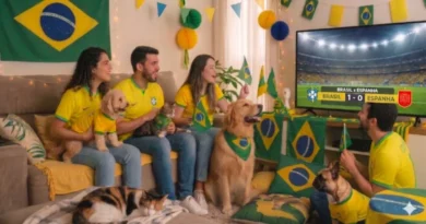 Cão buscando refúgio em um ambiente seguro durante celebrações da Copa do Mundo.