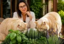 Cão labrador aproveitando um jardim sensorial com diversas texturas e plantas seguras, demonstrando bem-estar e relaxamento.