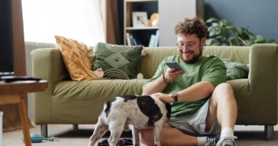 Veterinário analisando linguagem corporal de um gato em tablet