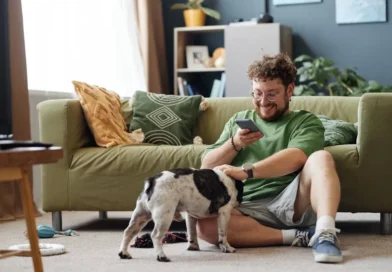 Veterinário analisando linguagem corporal de um gato em tablet